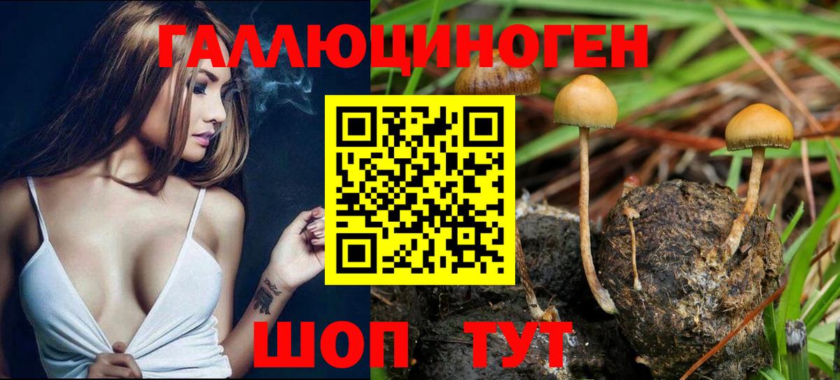 Галлюциногенные грибы мицелий Артёмовский