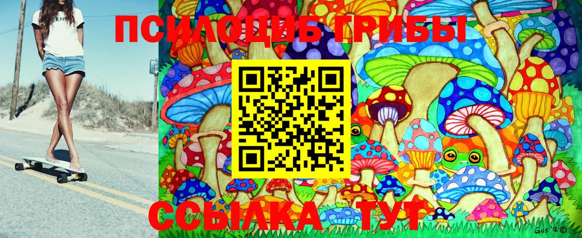 Галлюциногенные грибы Psilocybine cubensis Артёмовский