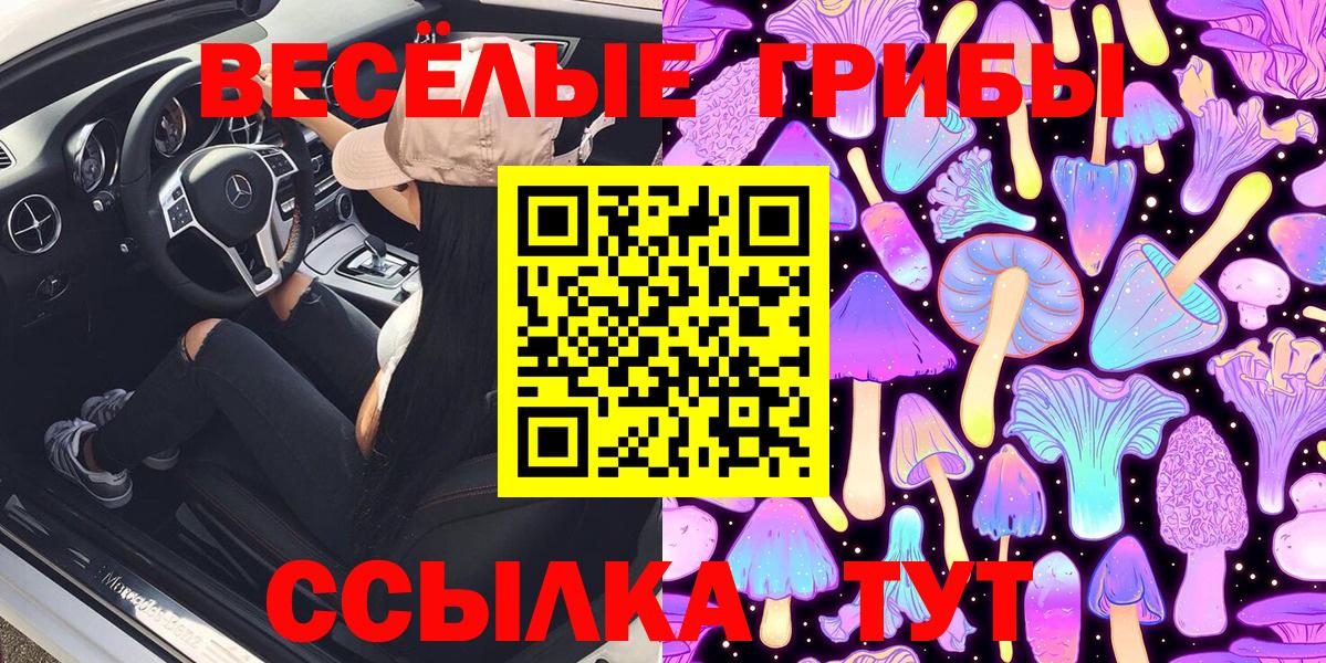 Псилоцибиновые грибы Psilocybe  Галлюциногенные грибы прущие грибы  Артёмовский 