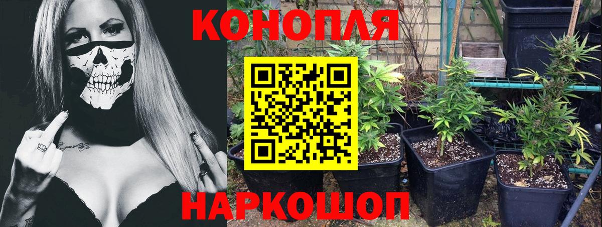 Шишки марихуана сатива  Канабис семена  Вход с VPN  Артёмовский  Бошки марихуана Ganja  МАРИХУАНА AK-47 